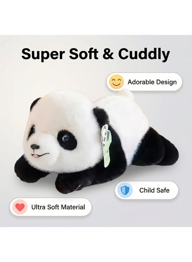 لعبة بفرو ناعم دببة باندا 30 سم - Image 5